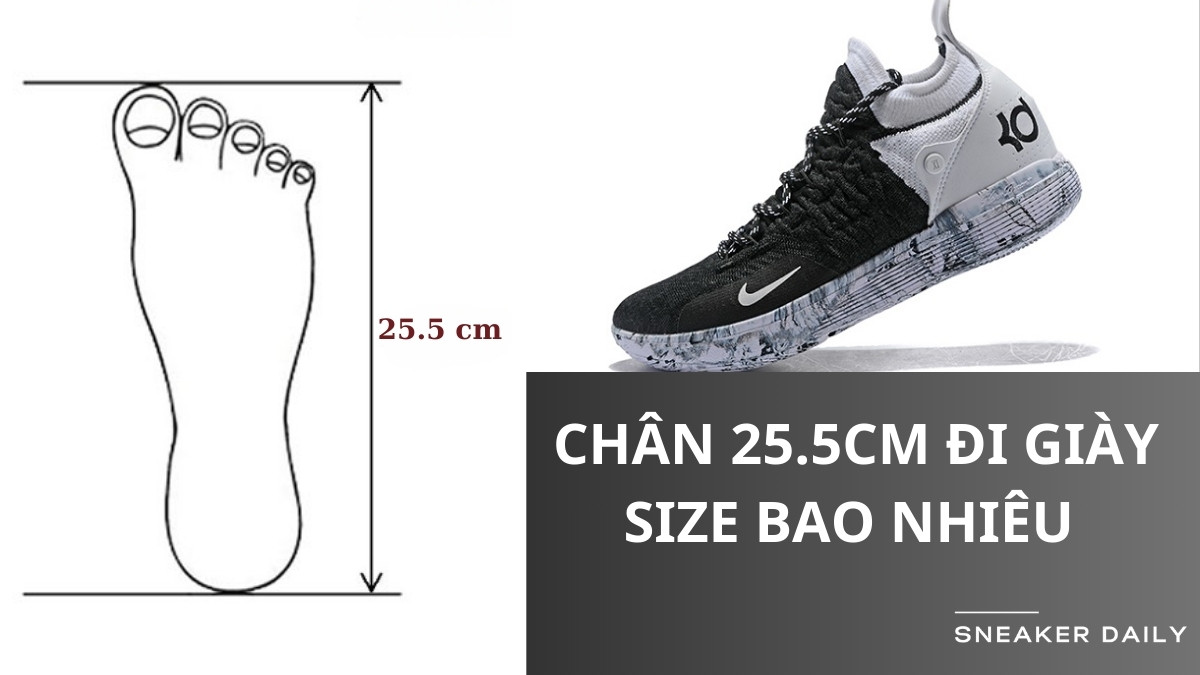 Bàn chân dài 25.5 cm tìm kiếm size giày phù hợp