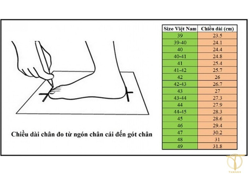 Cách chọn size giày US 9 phù hợp cho nữ giới