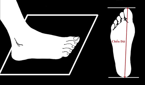 Cách đo chiều dài bàn chân bé để xác định size giày US phù hợp