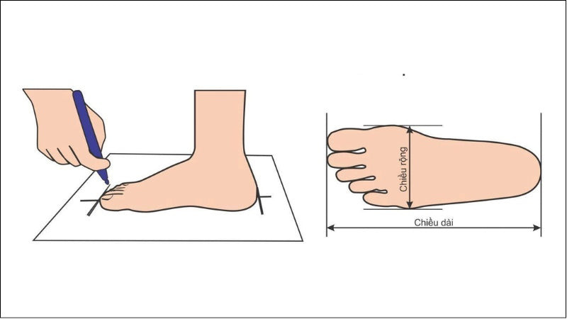 Cách đo chiều dài và chiều rộng bàn chân để xác định cỡ giày dép chính xác