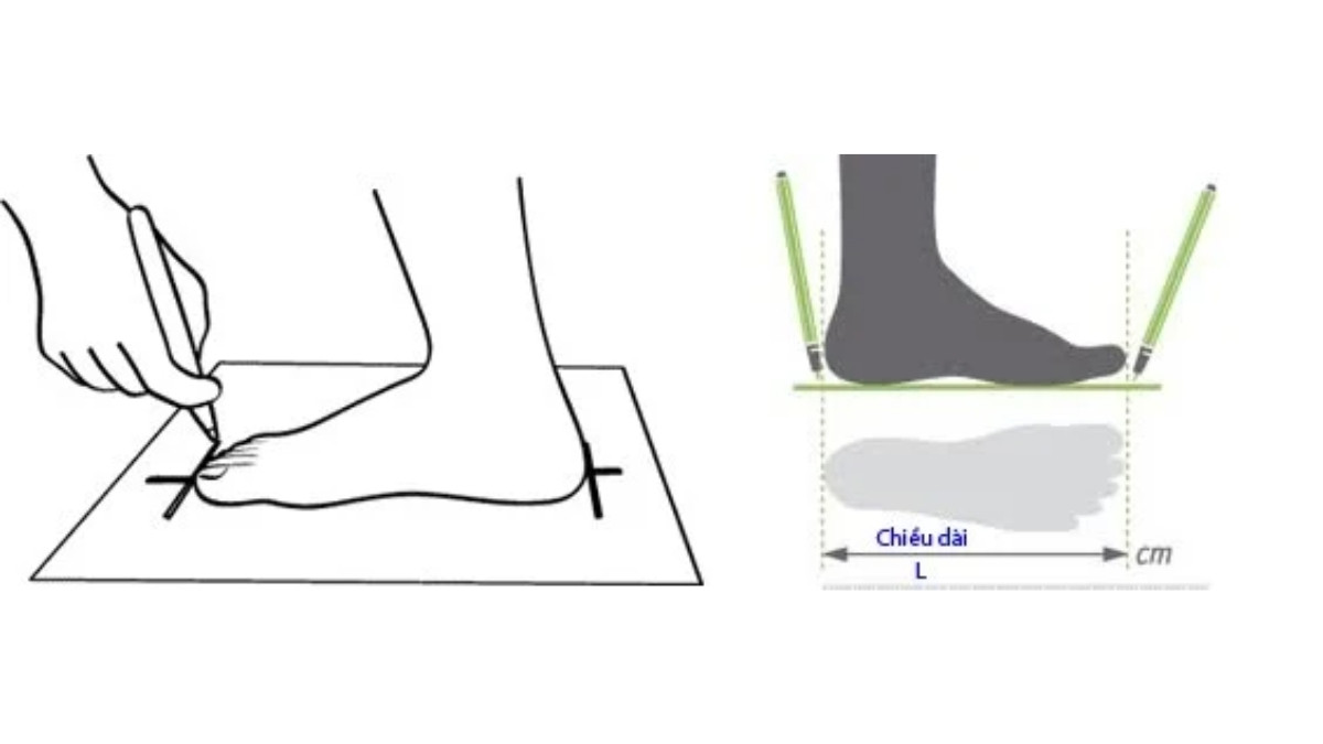 Cách đo chiều rộng bàn chân nam giới để chọn size giày Babolat phù hợp