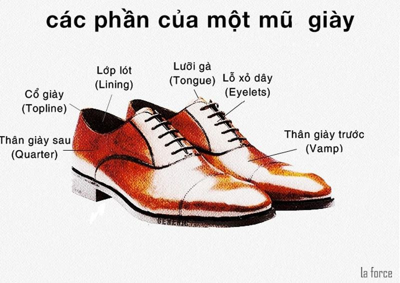 Cấu trúc cơ bản của một đôi giày thể thao, làm nổi bật phần lưỡi gà của giày.