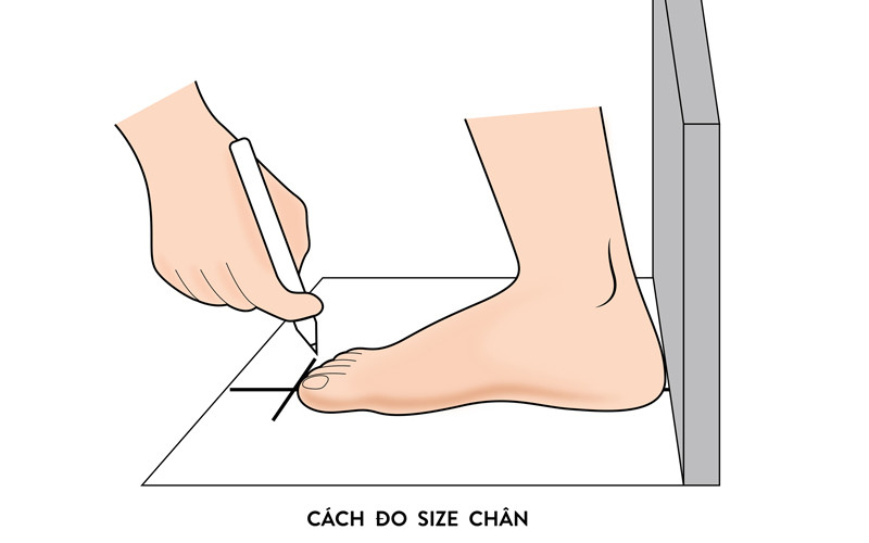 Cố định kích thước chân trên giấy để đo size giày