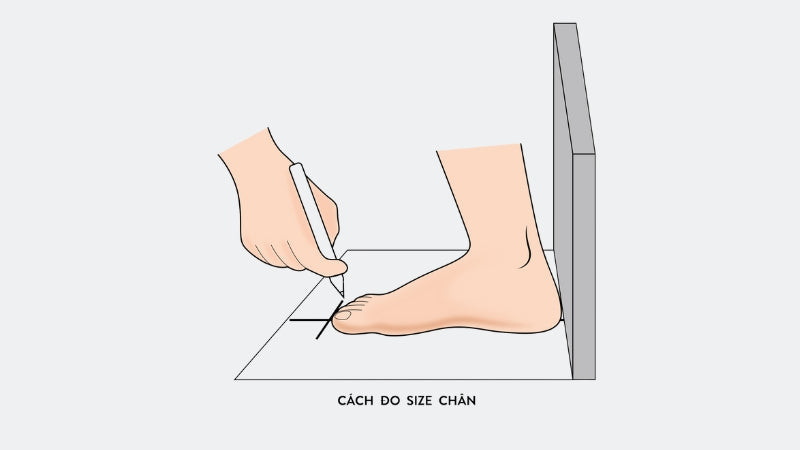 Đánh dấu gót chân và ngón chân dài nhất để đo chiều dài chân 23cm