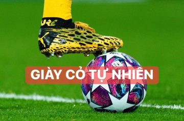 Giày đá bóng sân cỏ tự nhiên chính hãng từ azzurro sport