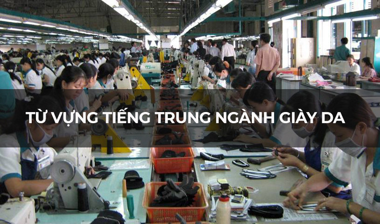 Hình ảnh minh họa các nguyên vật liệu chính trong sản xuất giày thể thao, kèm từ vựng tiếng Trung chuyên ngành.