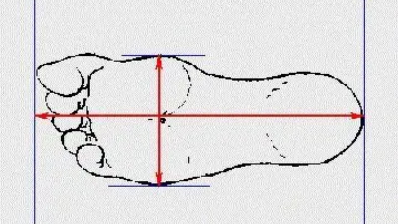 Hình ảnh minh họa cách đo chiều dài và chiều rộng bàn chân