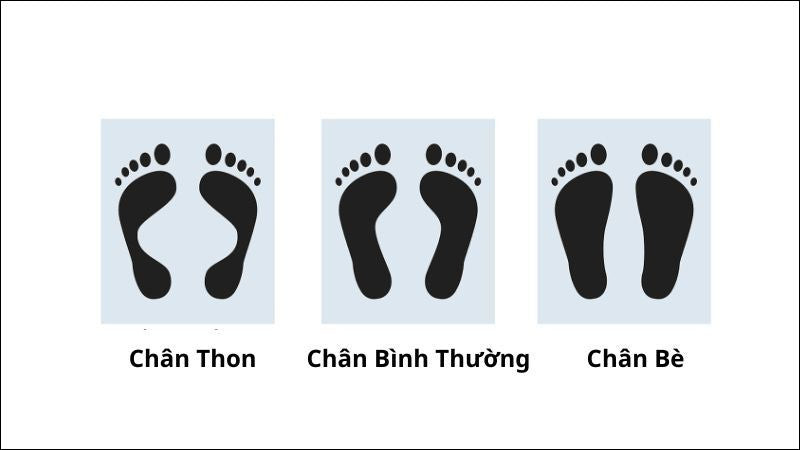 Hình ảnh mô tả đặc điểm bàn chân bè với ngón chân ngắn và chiều rộng bàn chân lớn