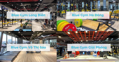 Hình ảnh tổng quan các chi nhánh Blue Gym tại Hà Nội, thể hiện quy mô và trang thiết bị hiện đại