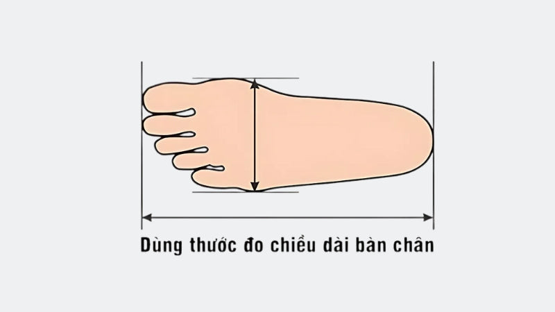 Hướng dẫn đo chiều dài bàn chân 26cm để chọn đúng size giày nam