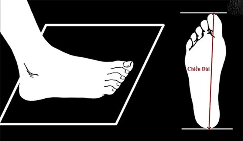 Hướng dẫn đo chiều dài bàn chân để chọn size giày Lining cầu lông chính xác