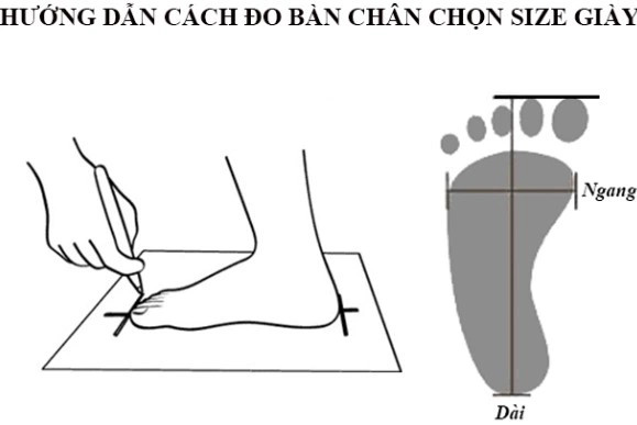Hướng dẫn đo size chân để chọn giày