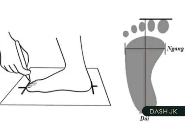 Hướng dẫn từng bước đo kích thước chân chính xác để quy đổi size giày