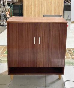 Kệ giày dép nhựa đơn giản TGN103