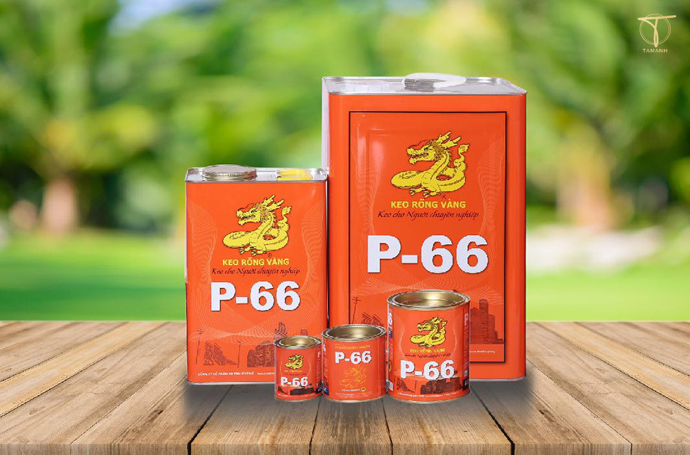 Keo dán giày tây P66 hiệu quả