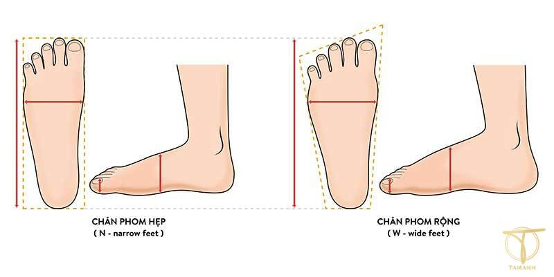 Khái niệm size giày 6 là bao nhiêu và bảng quy đổi chung