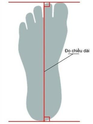 Kích thước bàn chân và các loại size