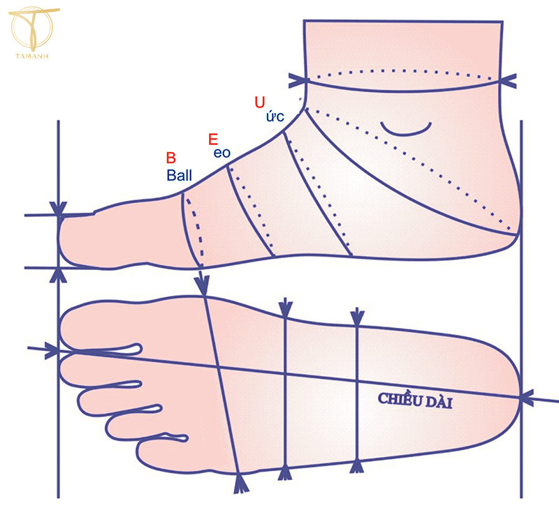 Lưu ý khi đo kích thước chân trẻ em để xác định size giày UK chuẩn.