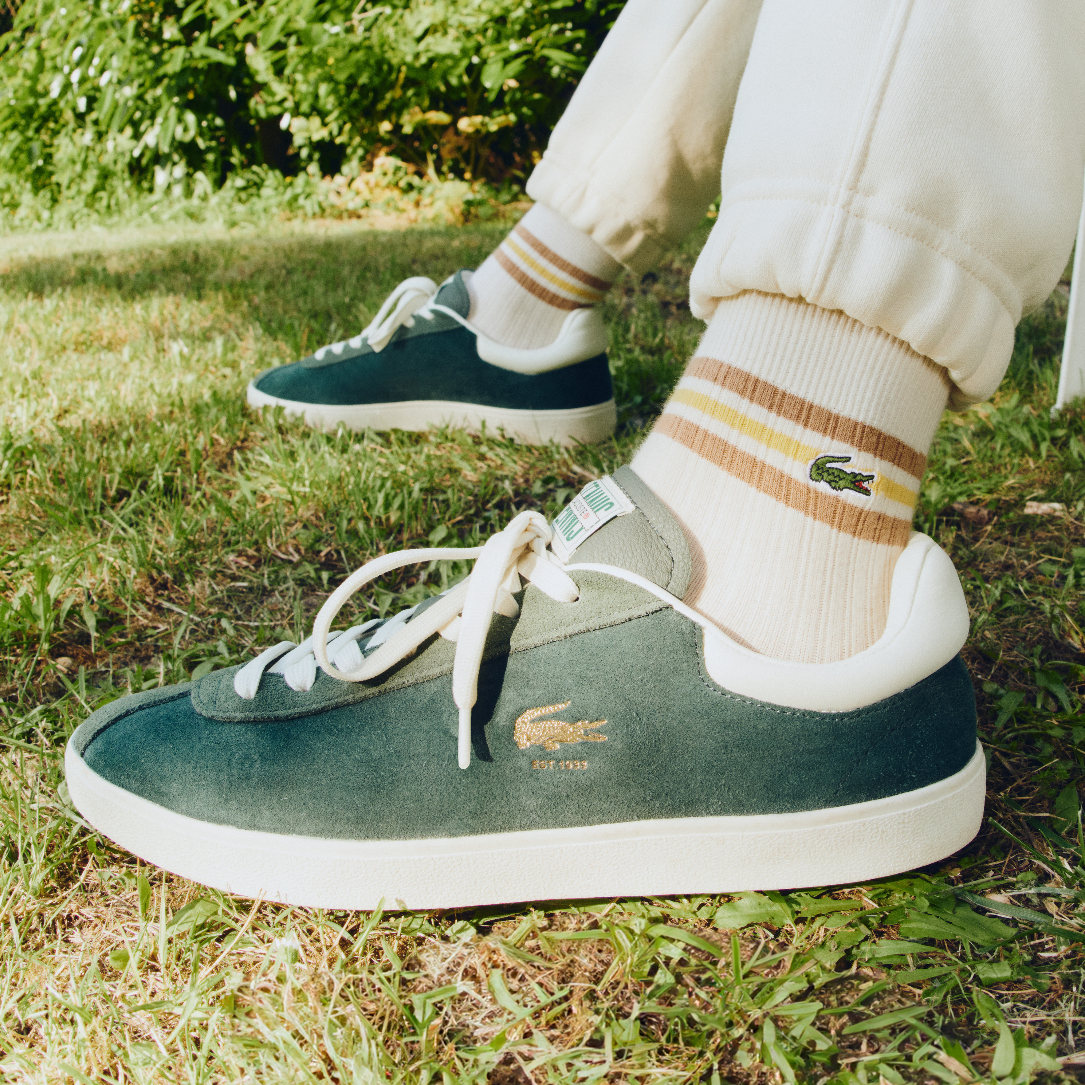 Mẫu giày thể thao Lacoste Baseshot Premium Suede Trainers