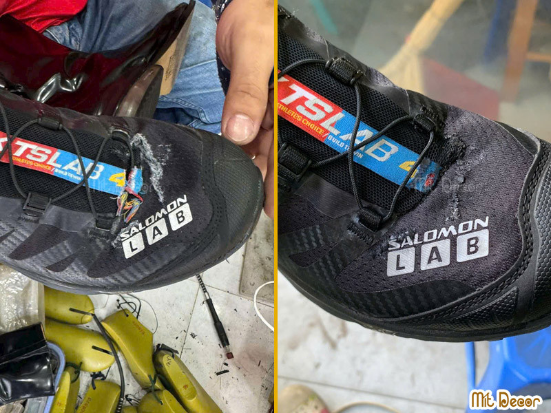 May giày sneaker