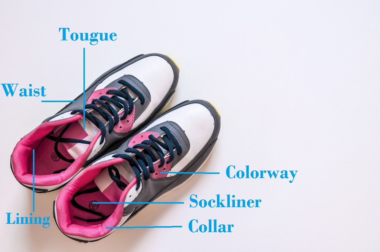 Minh họa lưỡi gà (tongue) và cấu trúc thân giày sneaker