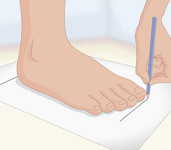 Minh họa tổng quan các bước đo bàn chân tại nhà để xác định bảng size giày Fila chính xác