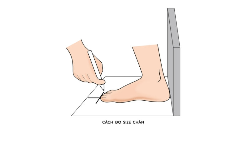 Một người đang dùng bút và thước để đo kích thước bàn chân trên tờ giấy, thể hiện cách đo size chân chính xác.