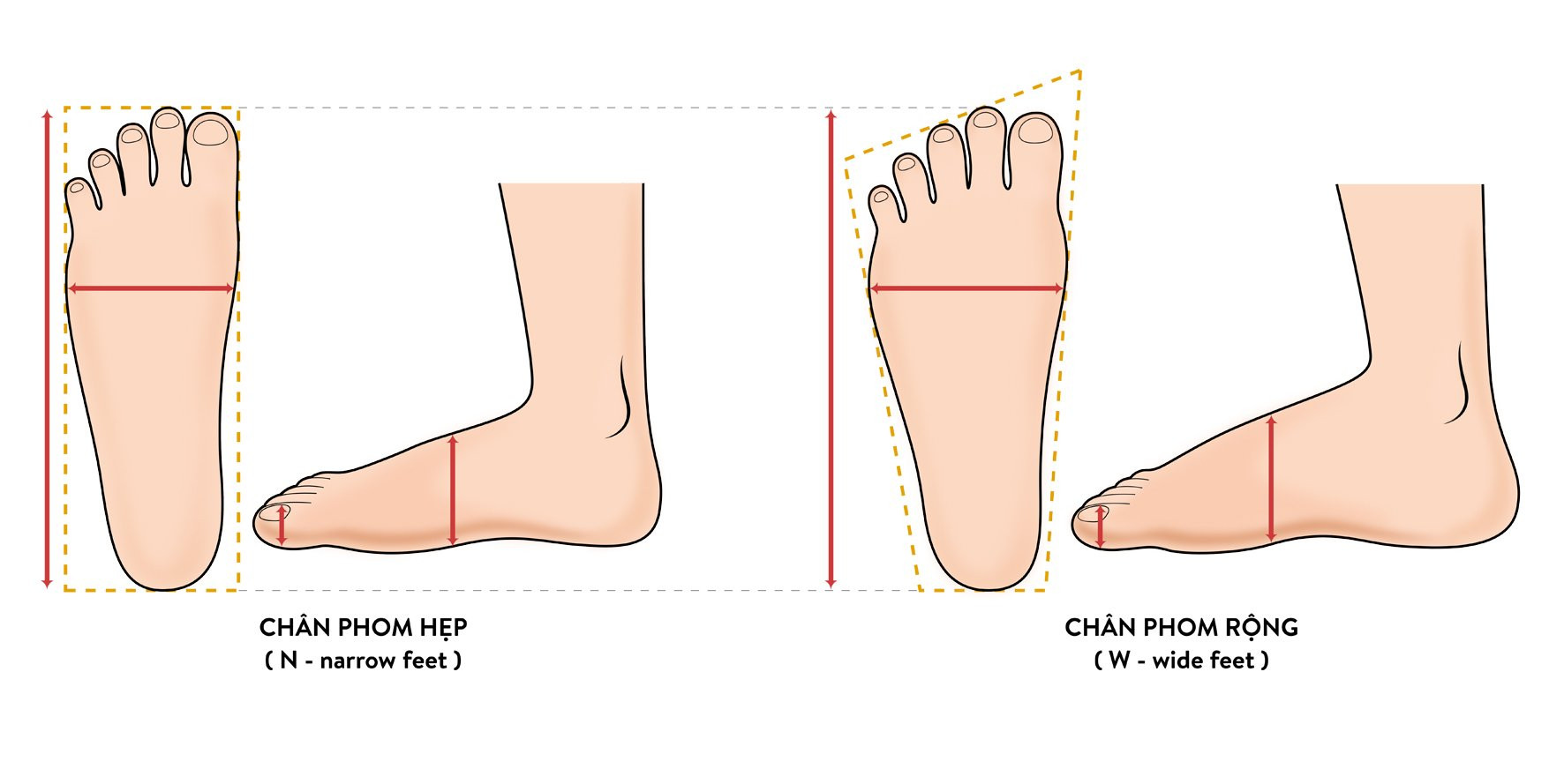 Phân biệt dáng chân để lựa chọn giày bóng đá phù hợp