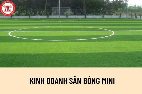 Sân bóng đá mini cỏ nhân tạo với đèn chiếu sáng, chuẩn bị kinh doanh giấy phép