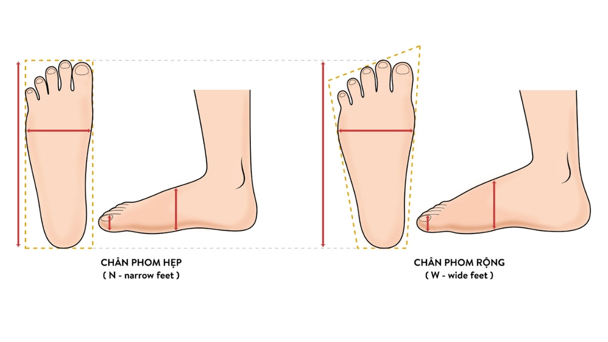 Sơ đồ minh họa các dạng bàn chân rộng, hẹp và bình thường giúp chọn cỡ giày 27.5 phù hợp