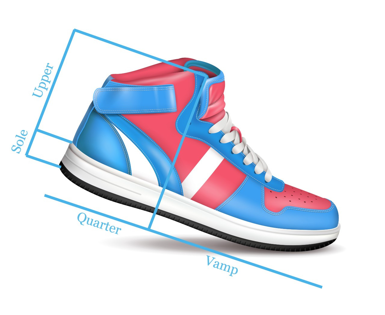 Sơ đồ tổng quan các bộ phận chính của giày sneaker bao gồm upper và sole