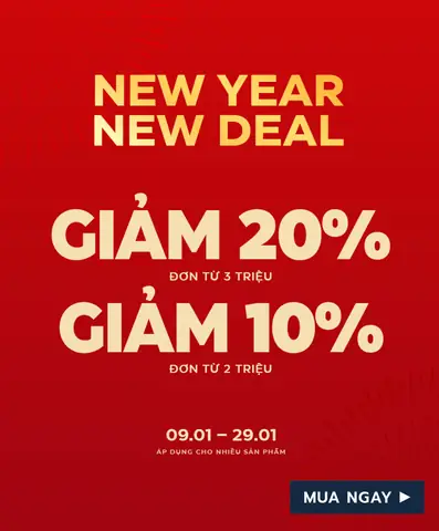 Top 10 Shop Mua Giày Thể Thao Nam Đẹp Convert
