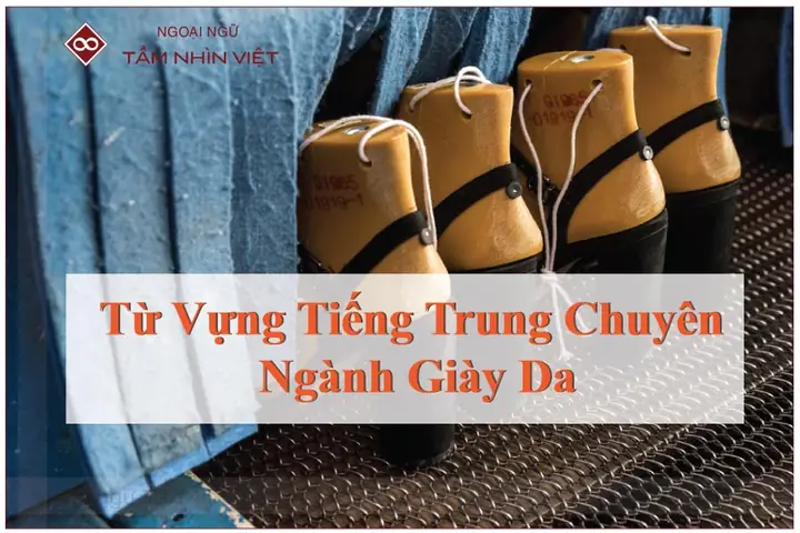 357 Từ Vựng Tiếng Trung Chuyên Ngành Giày: Cẩm Nang Từ A-z Cho Người Trong Ngành