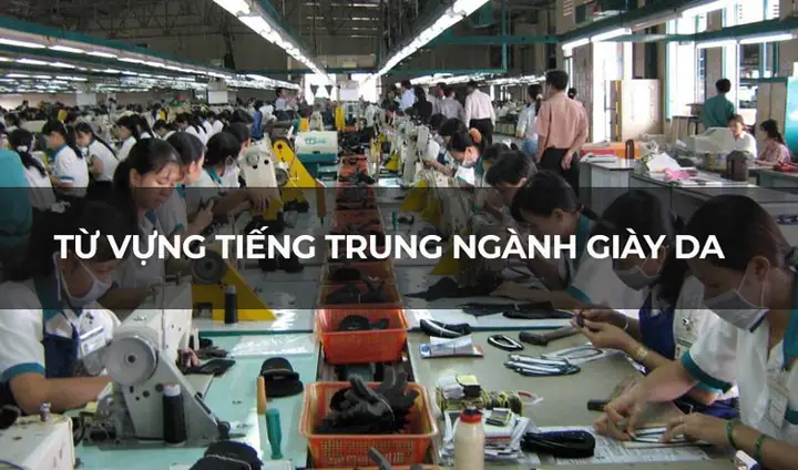357 Từ Vựng Tiếng Trung Chuyên Ngành Giày: Cẩm Nang Từ A-z Cho Người Trong Ngành
