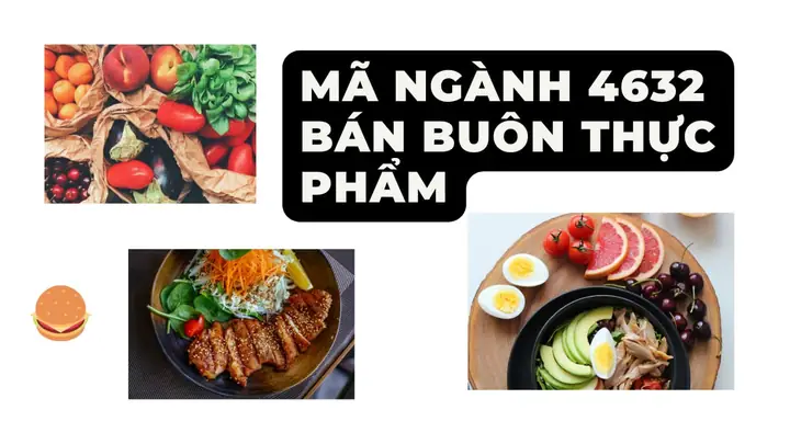 Mã Ngành 4641: Phân Tích Chi Tiết & Cẩm Nang Bổ Sung Ngành Nghiệp Cho Doanh Nghiệp Mã Ngành 4641: Phân Tích Chi Tiết & Cẩm Nang Bổ Sung Ngành Nghiệp Cho Doanh Nghiệp