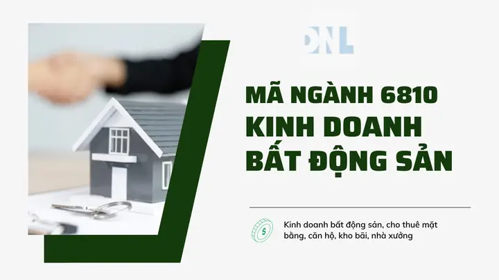 Mã Ngành 4641: Phân Tích Chi Tiết & Cẩm Nang Bổ Sung Ngành Nghiệp Cho Doanh Nghiệp Mã Ngành 4641: Phân Tích Chi Tiết & Cẩm Nang Bổ Sung Ngành Nghiệp Cho Doanh Nghiệp