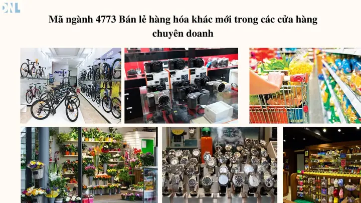 Mã Ngành 4641: Phân Tích Chi Tiết & Cẩm Nang Bổ Sung Ngành Nghiệp Cho Doanh Nghiệp
