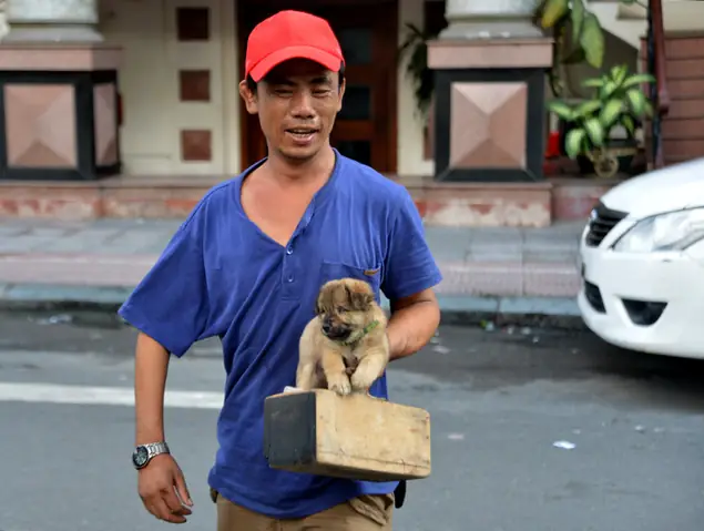 Phân Tích Bài Báo Anh Đánh Giày Và Chú Chó Mù: Câu Chuyện Về Lòng Trắc Ẩn Và Thông Điệp Nhân Văn Sâu Sắc