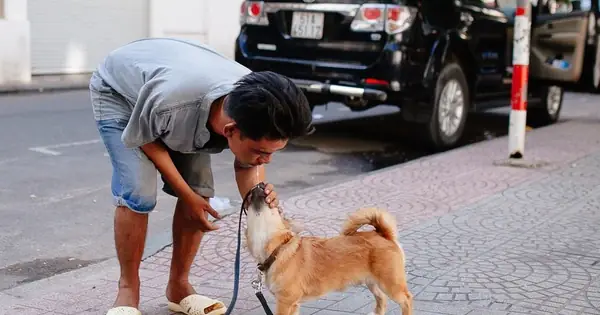 Phân Tích Bài Báo Anh Đánh Giày Và Chú Chó Mù: Câu Chuyện Về Lòng Trắc Ẩn Và Thông Điệp Nhân Văn Sâu Sắc