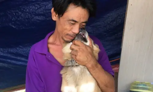Phân Tích Bài Báo Anh Đánh Giày Và Chú Chó Mù: Câu Chuyện Về Lòng Trắc Ẩn Và Thông Điệp Nhân Văn Sâu Sắc
