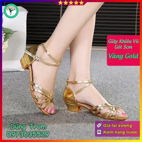 Top 10 Giày Ballroom Khiêu Vũ Tốt Nhất Cho Người Mới Bắt Đầu & Chuyên Nghiệp