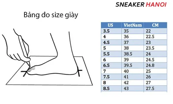 Bàn Chân Dài 12cm Mang Giày Số Mấy? Bảng Size Giày Chuẩn Cho Mọi Lứa Tuổi