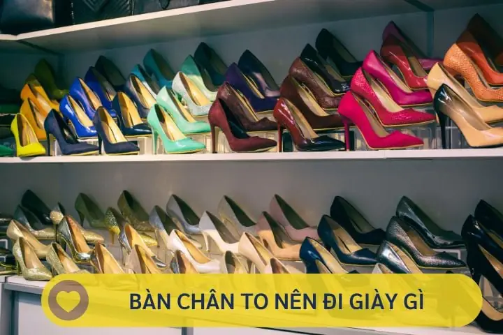 Bàn Chân Dài Nên Đi Giày Thể Thao Gì? 5 Dòng Sản Phẩm Phù Hợp Nhất