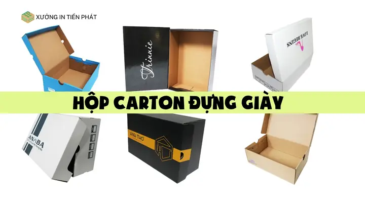 Top 10 Địa Chỉ Bán Hộp Giấy Đựng Giày Giá Sỉ Tphcm Uy Tín Nhất 2026
