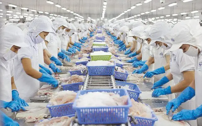 Phân Tích Biểu Đồ Thống Kê Xuất Khẩu Giày Da Việt Nam Năm 2018