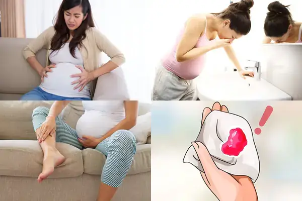 Top 5 Loại Bộ Phận Máy Ép Ngành Da Giày Tak Wavina Được Ưa Chuộng Nhất Hiện Nay