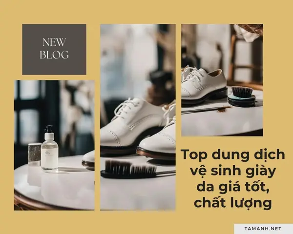 Bọt Vệ Sinh Giày Vs Gel Vệ Sinh Giày: Đâu Là Lựa Chọn Tối Ưu Cho "đôi Chân Vàng" Của Bạn?