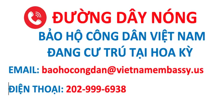 Top 5 Kênh Buôn Giày Cũ Ở Mỹ Về Việt Nam Uy Tín Nhất 2026