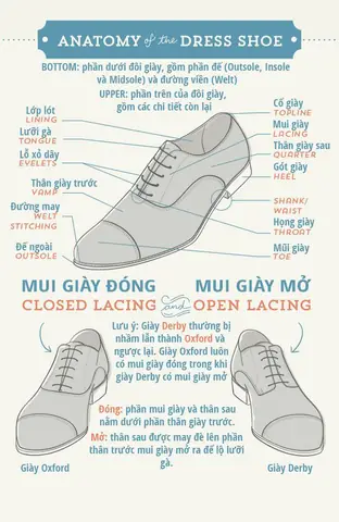 Các Bộ Phận Của Đôi Giày Trong Tiếng Anh: Từ A Đến Z Cho Người Mới Học