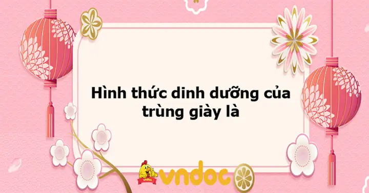 Khám Phá Các Chất Dinh Dưỡng Đơn Giản Của Trùng Giày Và Lợi Ích Vượt Trội Cho Vật Nuôi